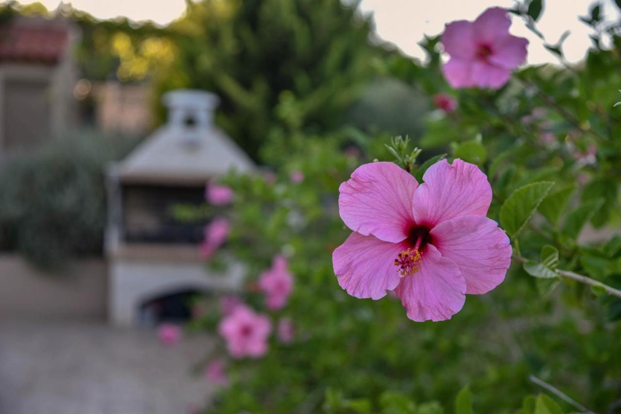 Villabayviewcrete Hersonissos  Zewnętrze zdjęcie